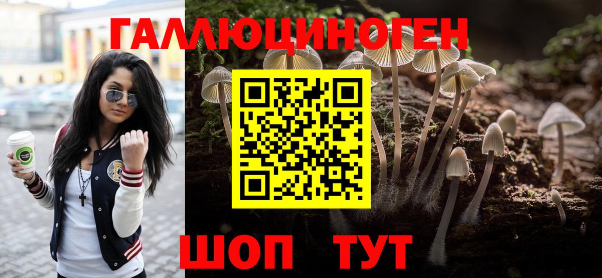 Псилоцибиновые грибы прущие грибы Анапа