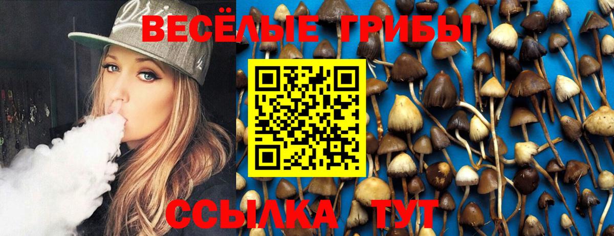 Анапа  Галлюциногенные грибы MAGIC MUSHROOMS  Вход с VPN 